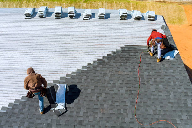 Best Metal Roofing Contractor  in Foscoe, NC